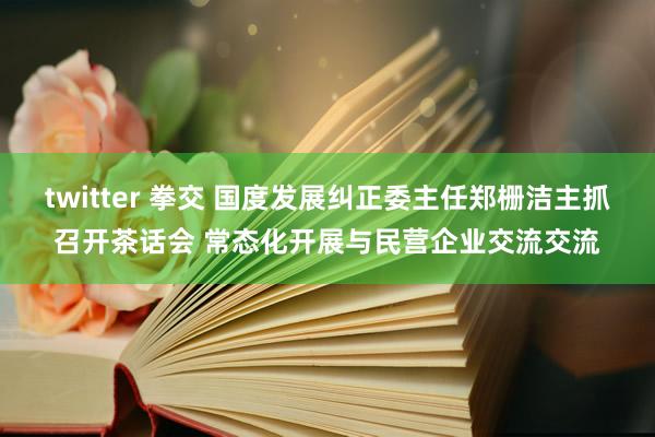 twitter 拳交 国度发展纠正委主任郑栅洁主抓召开茶话会 常态化开展与民营企业交流交流