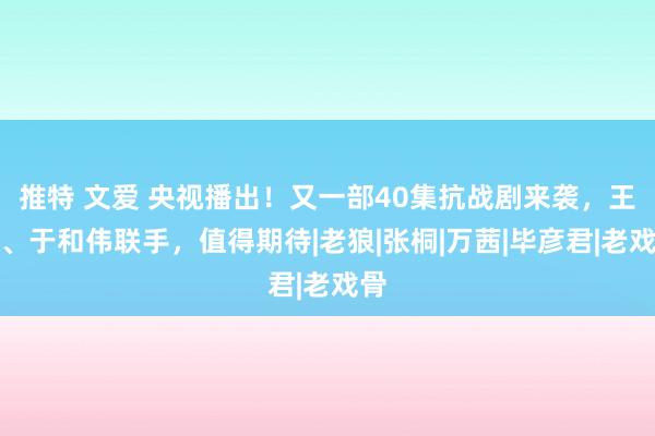 推特 文爱 央视播出！又一部40集抗战剧来袭，王阳、于和伟联手，值得期待|老狼|张桐|万茜|毕彦君|老戏骨